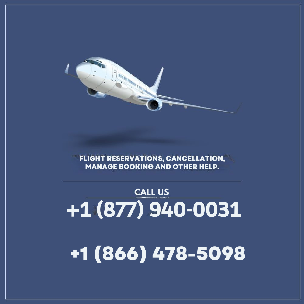 The Ultimate Guide* [Turkish Airlines Customer Service COMPLETE FULL GUIDE - 2025-2026 UPDATE! ] - YouTube