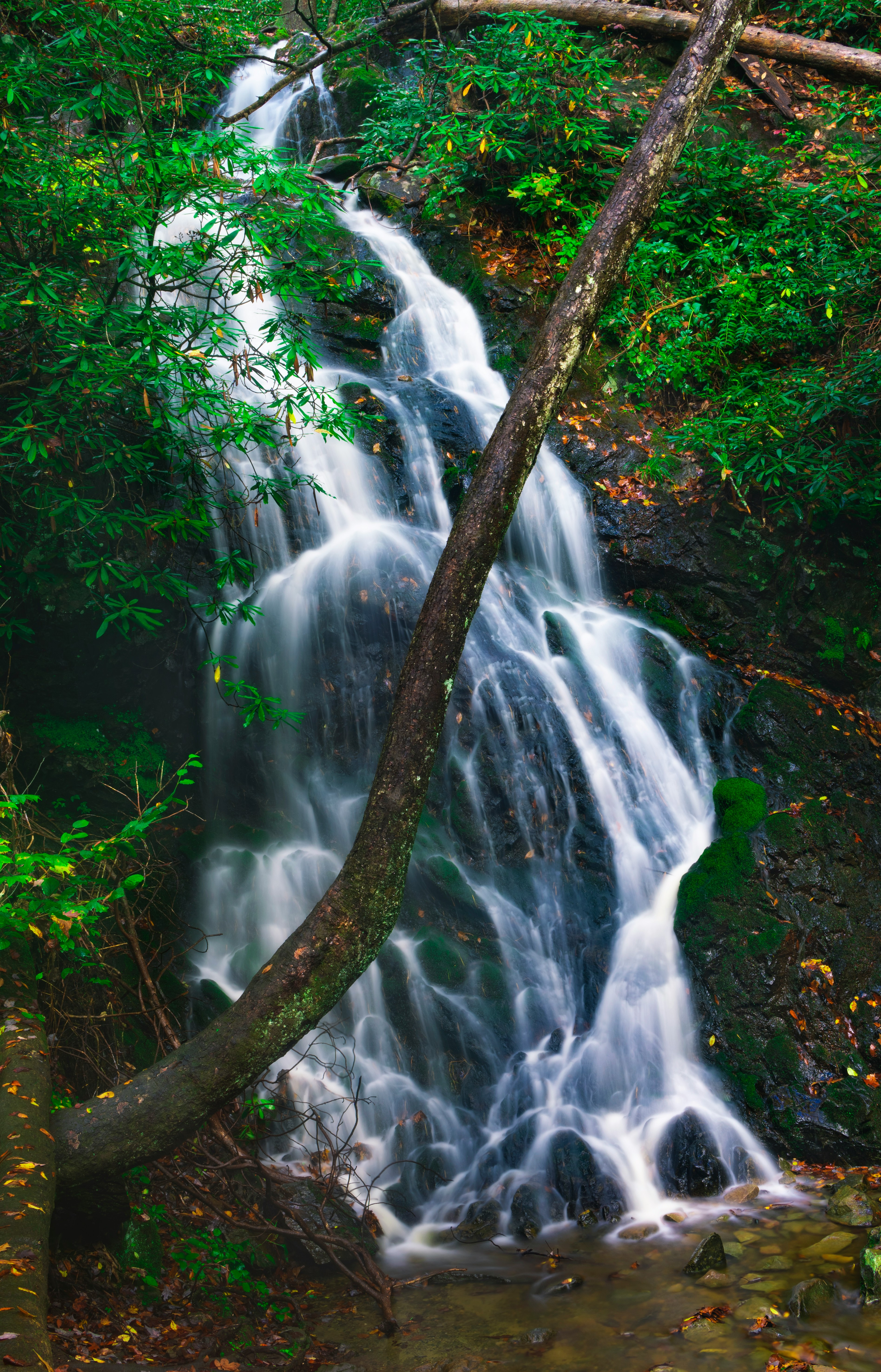 [[Haz~la$llamada&ya]]¿Cómo llamar a Copa desde México?